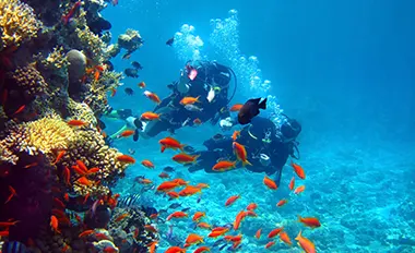 Explorations sous-marines profondes