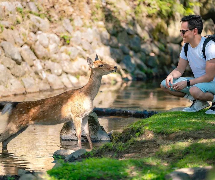 La préservation des écosystèmes lors des déplacements touristiques
